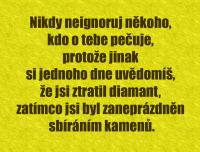 /album/oblibena-zivotni-moudra/diamant-png/