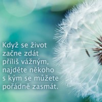 /album/oblibena-zivotni-moudra/smich-jpg/